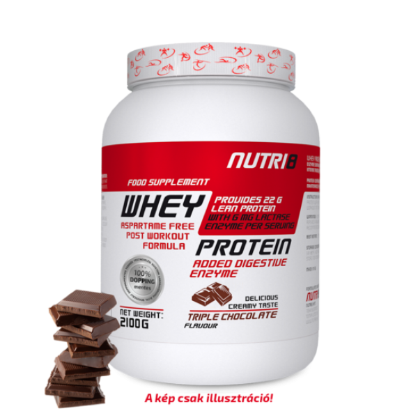 WheyProtein_2100g_Chocolate_3D